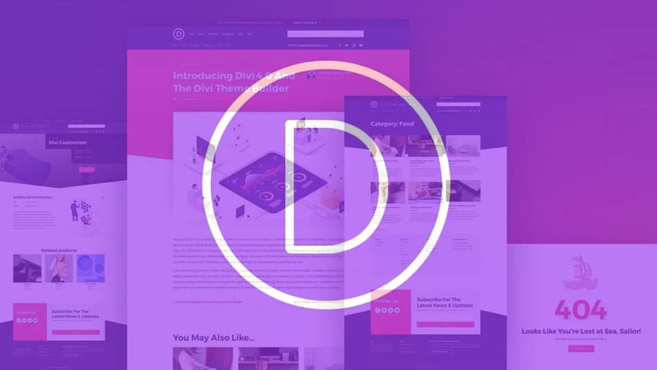 Elegant theme divi wordpress