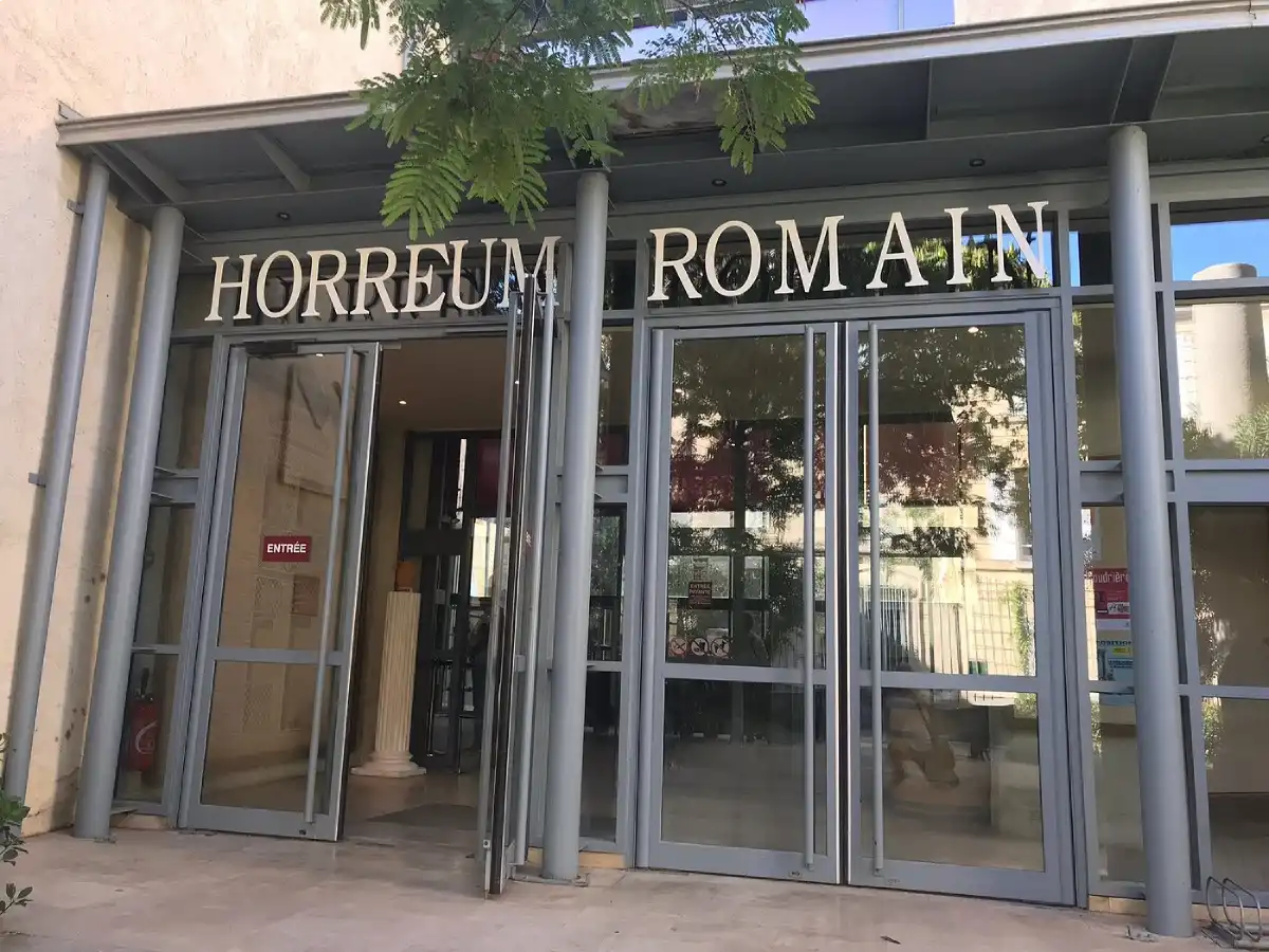 Musée Horreum Romain Narbonne création site internet à Narbonne agence web artdim