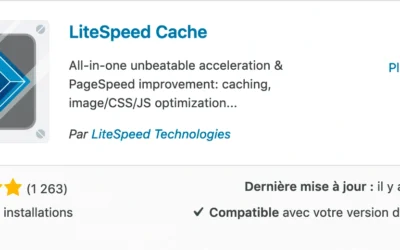 Plugin de cache WordPress pour un site rapide