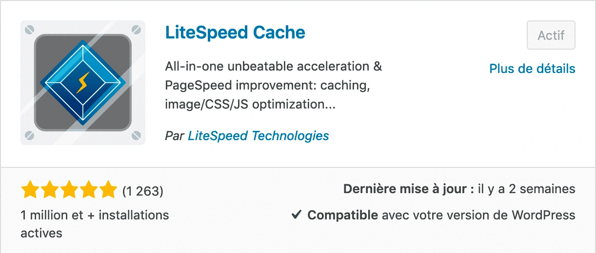 Plugin de cache Litespeed Agence web Artdim Carcassonne