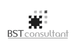 Logo BST Consultant ()